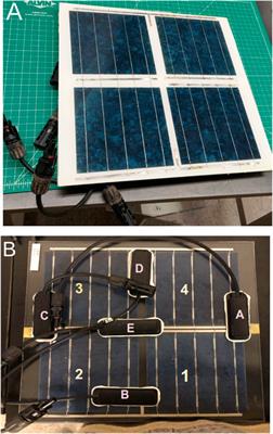 Statistical analysis and degradation pathway modeling of photovoltaic minimodules with varied packaging strategies